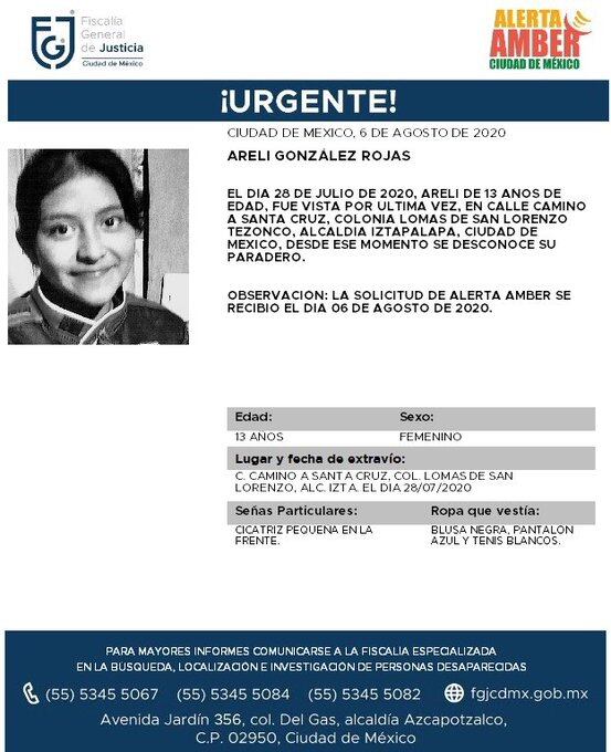Ficha de búsqueda de Areli