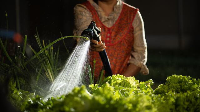 La Industria Mexicana de Coca-Cola anuncia una alianza con ProNatura, Toroto y Kilimo para desarrollar proyectos de preservación del agua en México