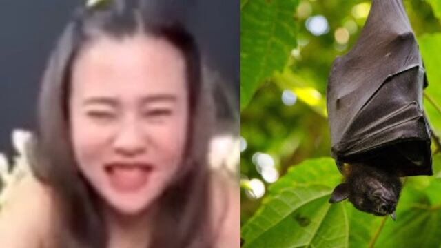 Youtuber que comió un murciélago en su sopa