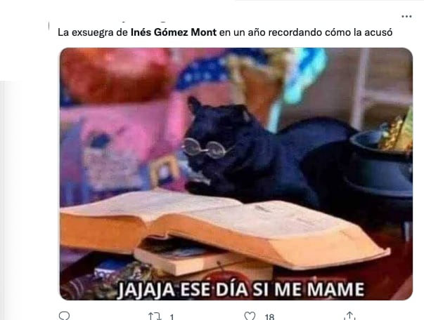 Meme sobre Inés Gómez Mont y su suegra Tita Bravo.