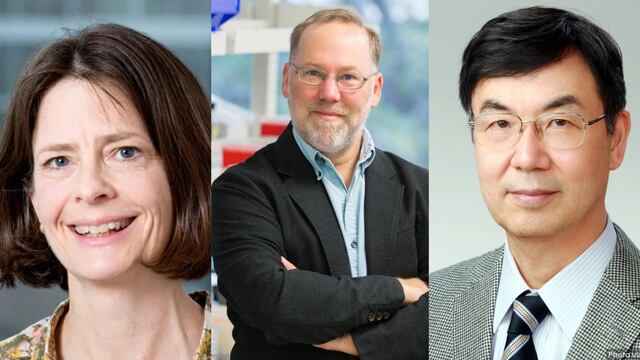 Mary E. Brunkow, Fred Ramsdell y Shimon Sakaguchi, ganadores del Premio Nobel de Fisiología o Medicina 2025