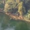 ¿Qué pasó en el Río Grijalva de Chiapas? Muere una familia completa arrastrada por la corriente