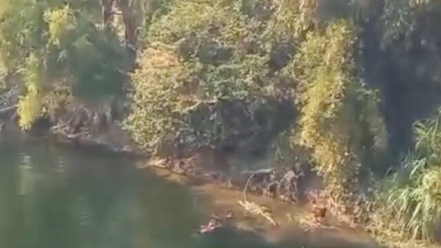 Muere una familia completa arrastrada por la corriente