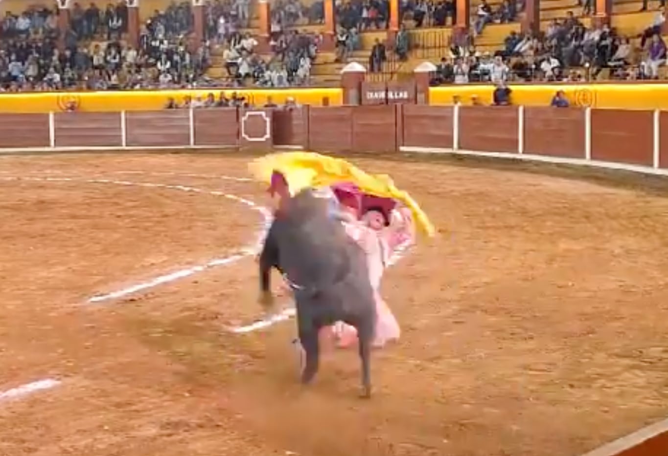 Torero Alberto Ortega: su vida peligra por una cornada