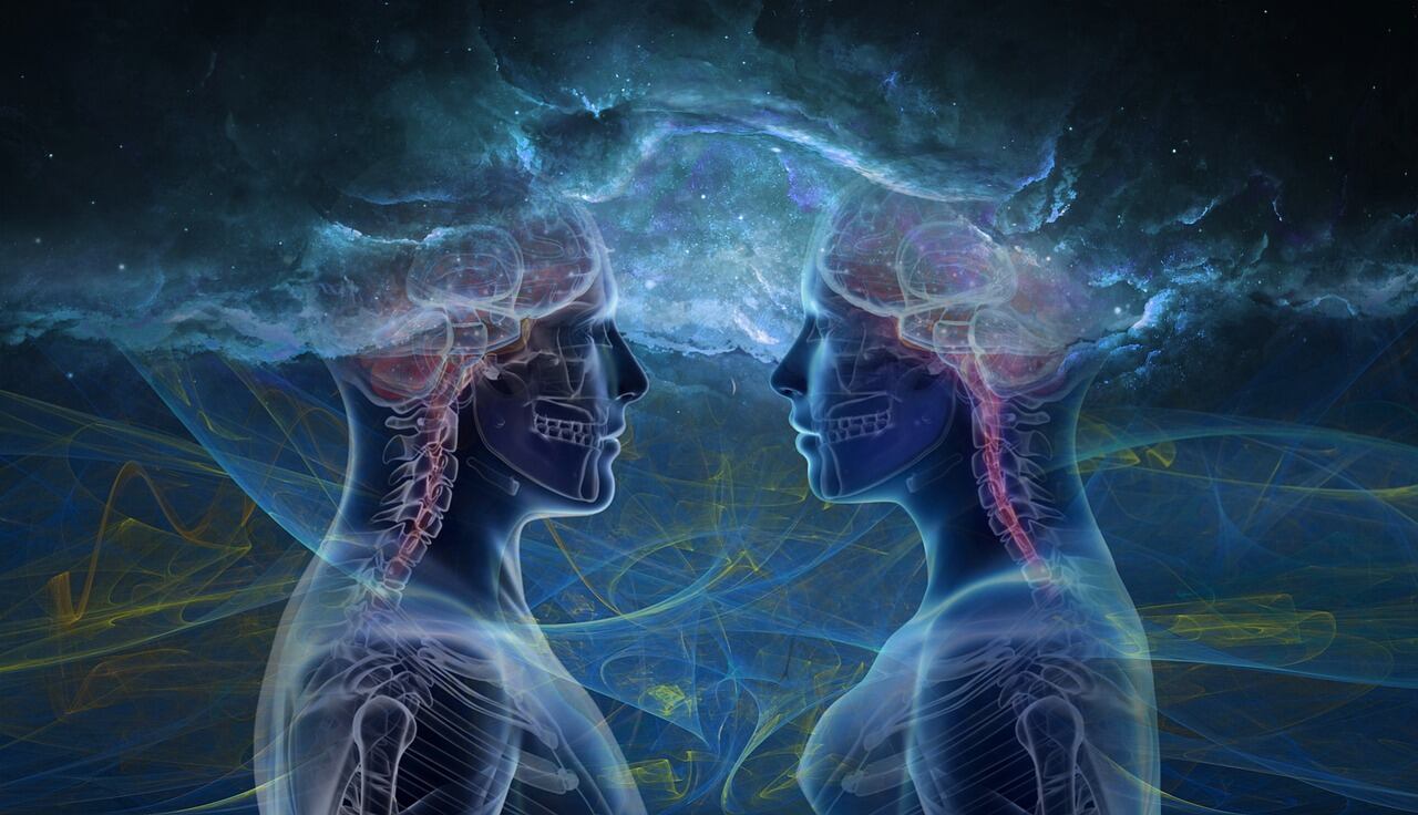 Cerebro humano