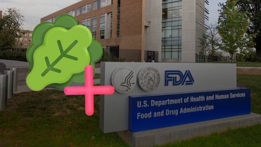 FDA descarta ciclosporiasis en lechuga mexicana; fue un falso positivo