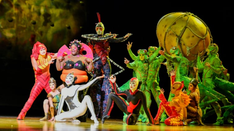 OVO de Cirque du Soleil: Precio de boletos, fecha de preventa y cuándo ver en vivo el show en CDMX, Guadalajara y Monterrey