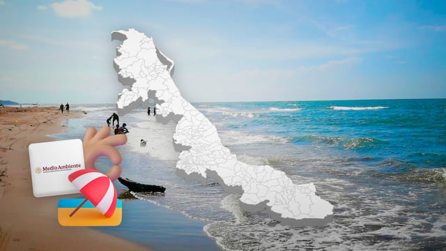 SEMARNAT asegura que playas de Alvarado están limpias tras derrame