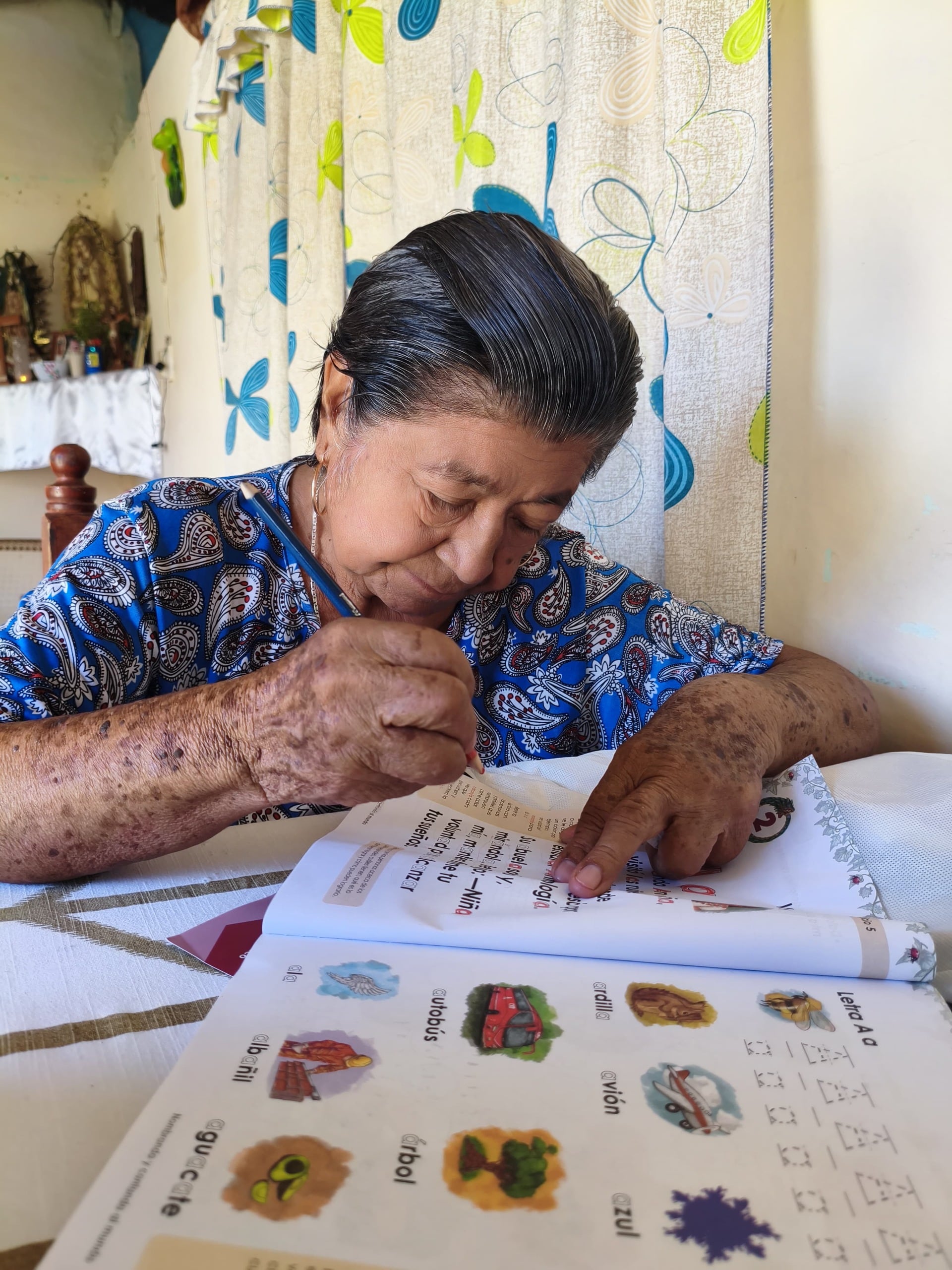 Alfabetizar para el Bienestar