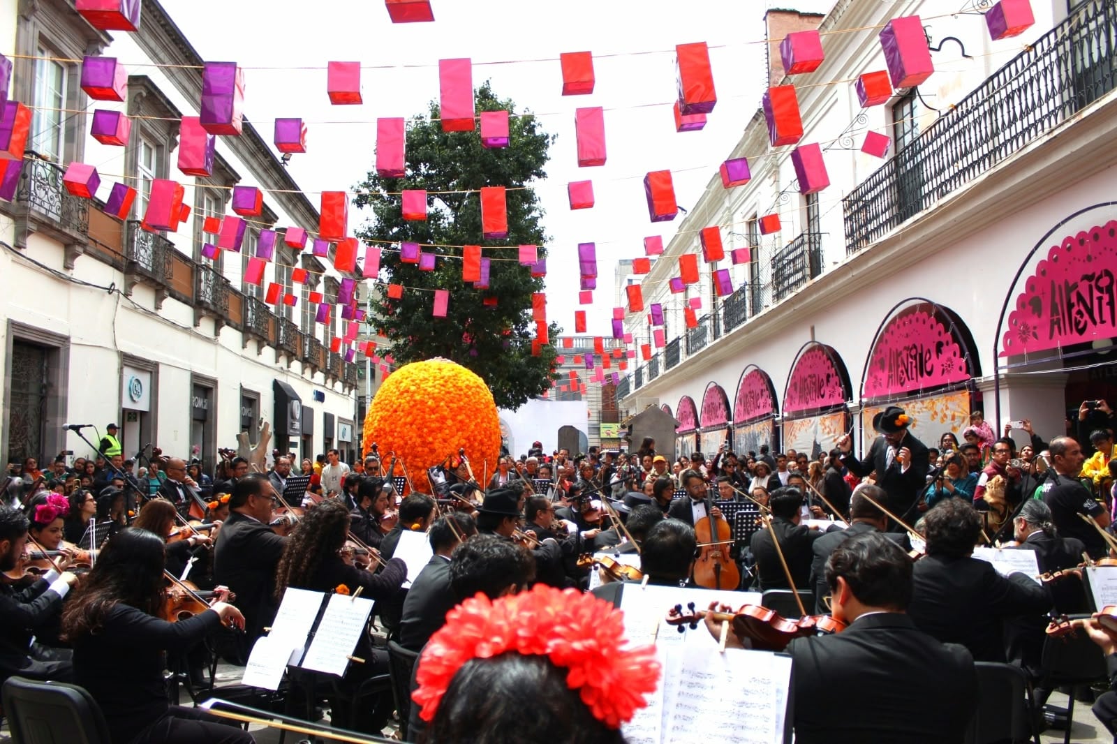Ricardo Moreno invita a conciertos gratuitos de la Feria del Alfeñique