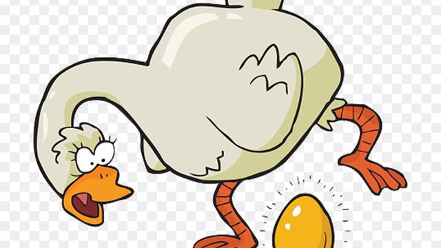 Siempre hay un gansito así