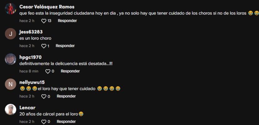 Reacciones al loro que roba audífonos a reportero en vivo