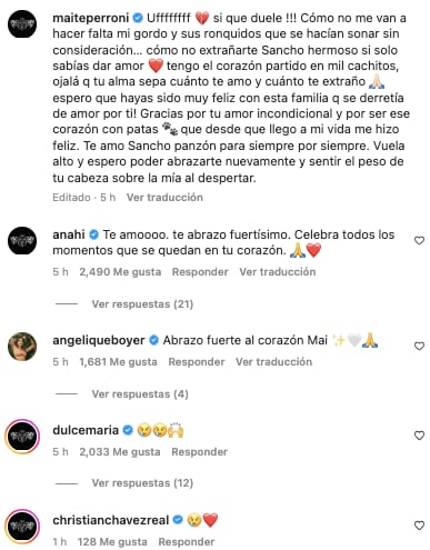 Integrantes de RBD lamentan muerte del perro de Maite Perroni