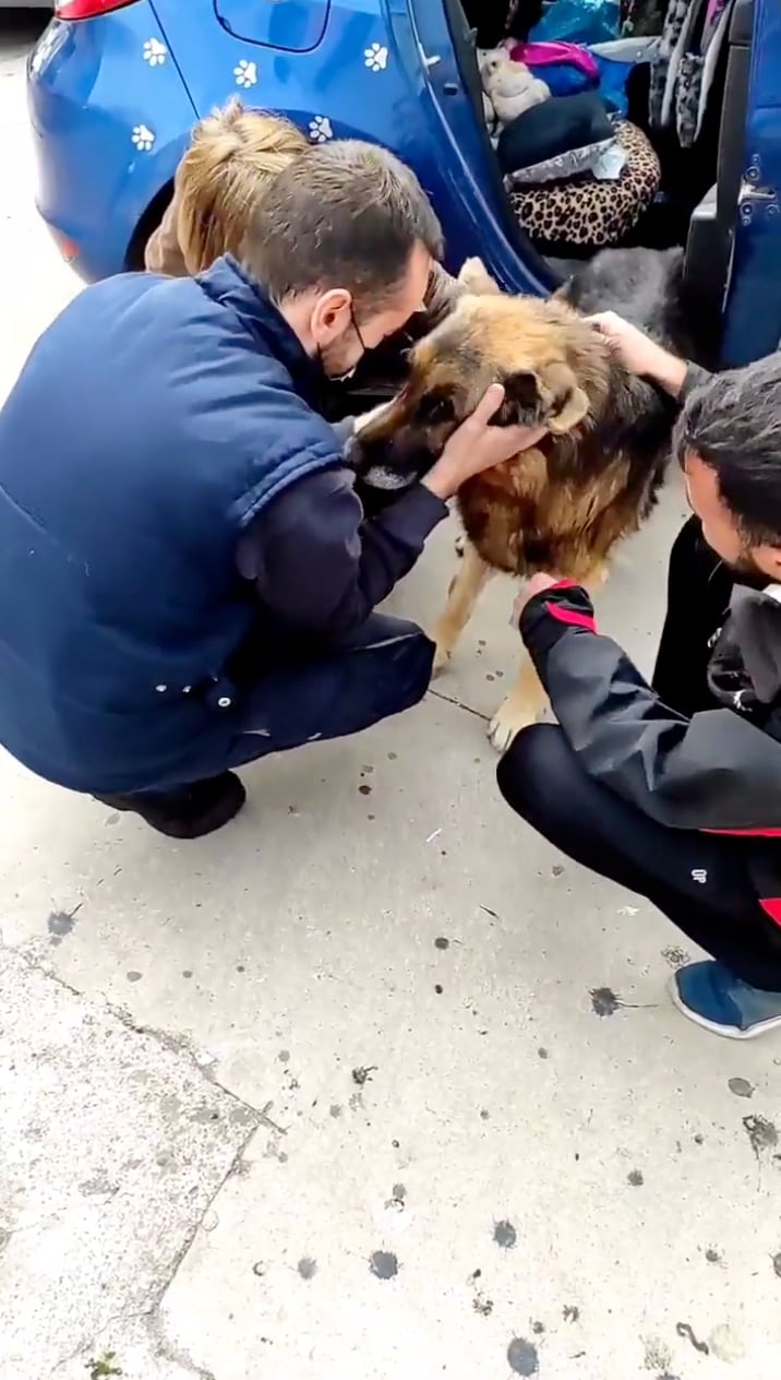 El perro Dico con sus dueños