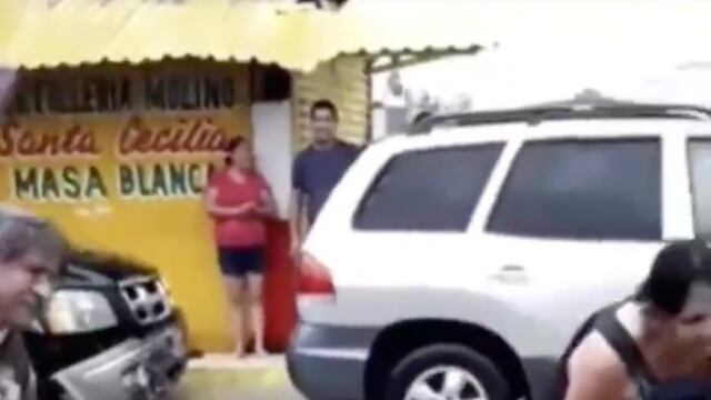 Los perritos se transportaban en tina