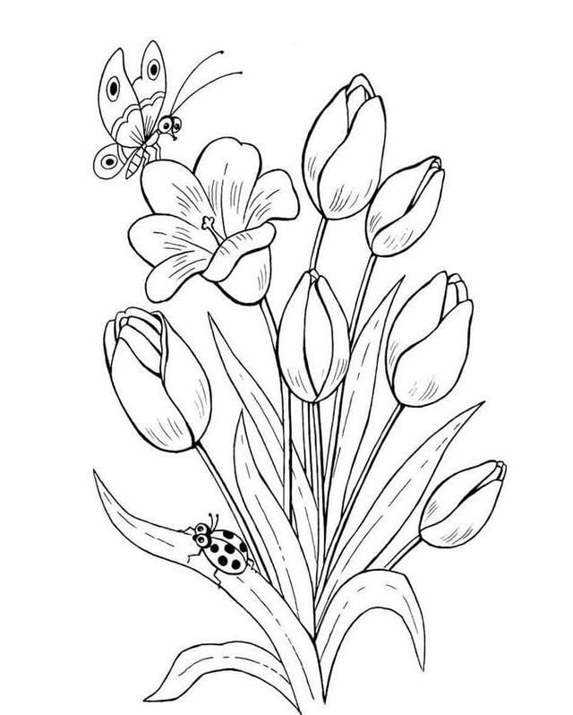 Tulipanes como dibujo de flores amarillas para colorear