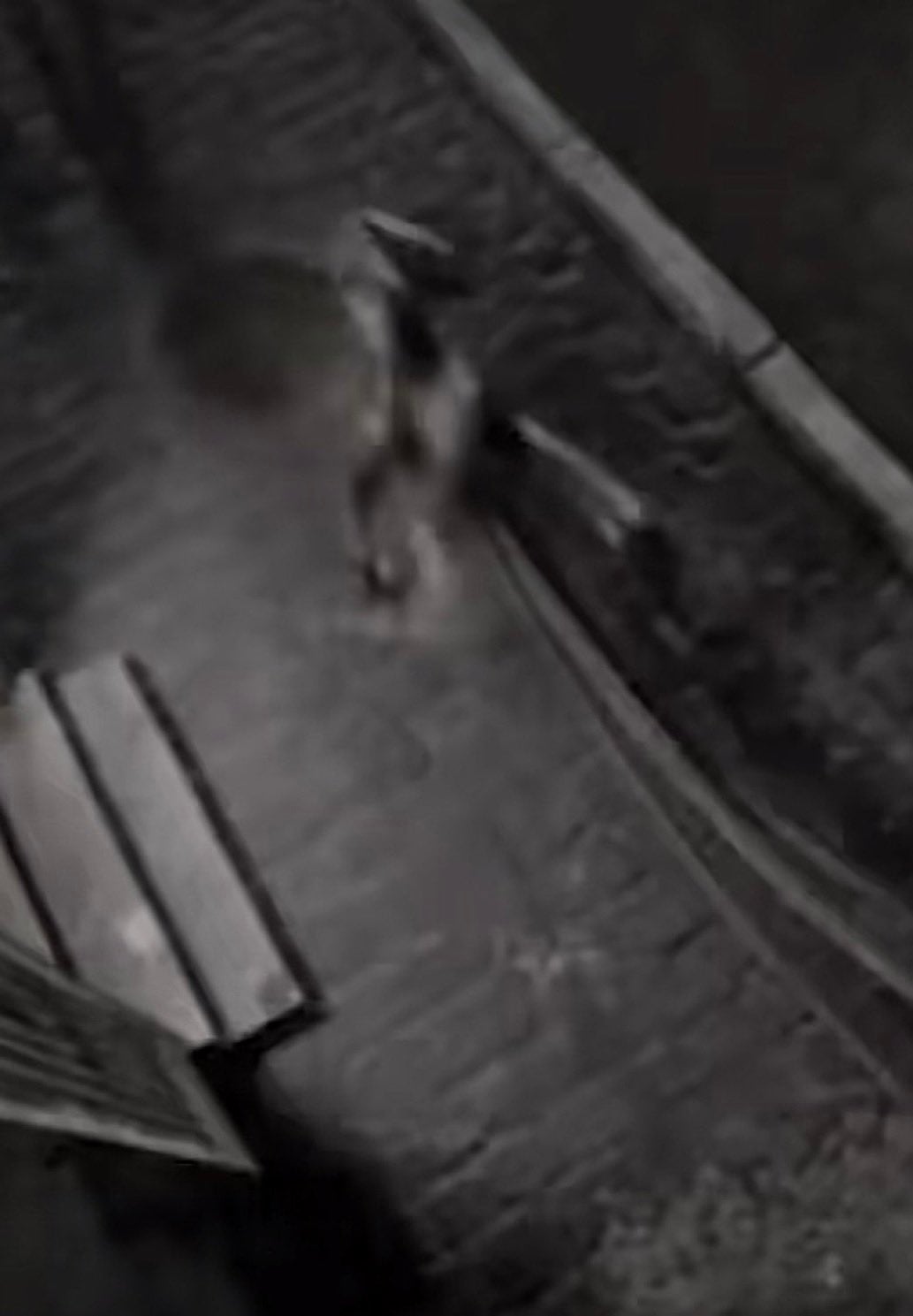 Una supuesta figura extraterrestre desató el caos en centro comercial