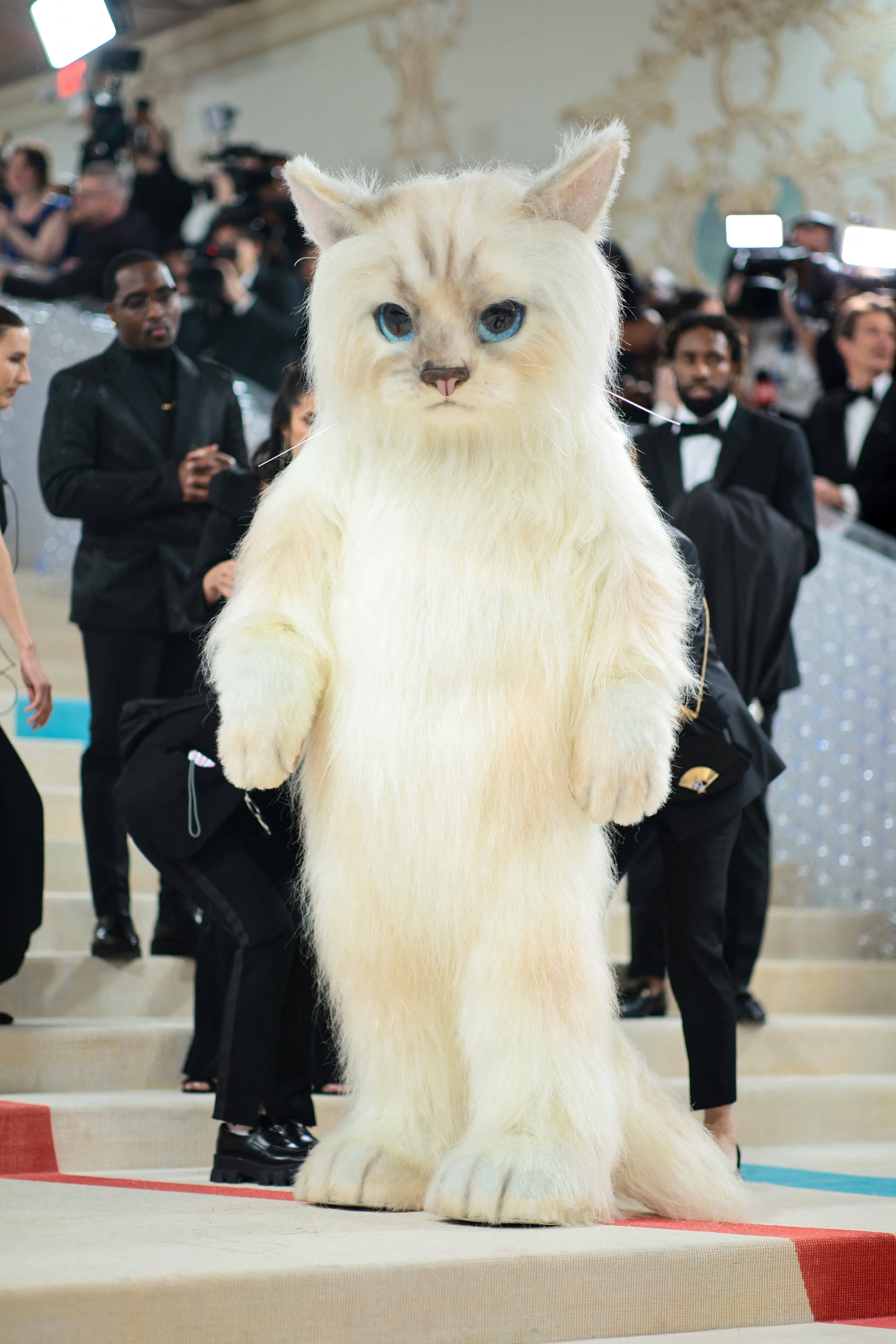Jared Leto en la MET Gala 2023 disfrazado como gato