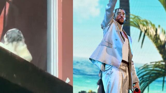 Perrito de TikTok y Bad Bunny