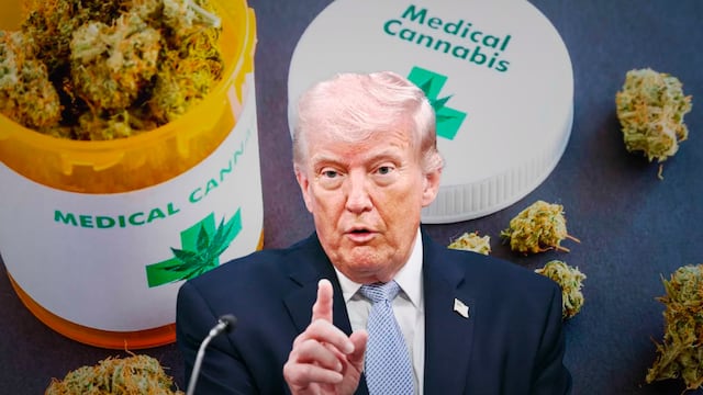Trump flexibiliza restricciones a la marihuana medicinal en Estados Unidos