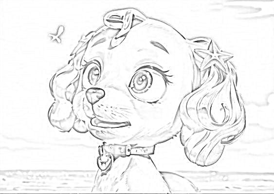 Dibujo de Coral de Paw Patrol