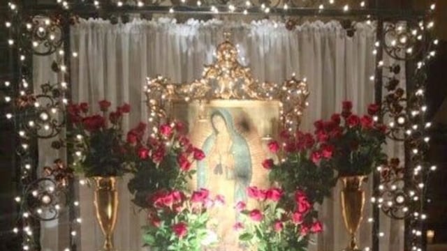 Altar con rojas rojas y luces blanca para la Virgen de Guadalupe