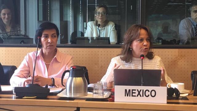 La subsecretaria de Relaciones Exteriores, Martha Delgado, ante el Comité contra la Tortura de la ONU, en Ginebra.