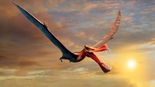 Encuentran restos de un “dragón” de hace 105 millones de años