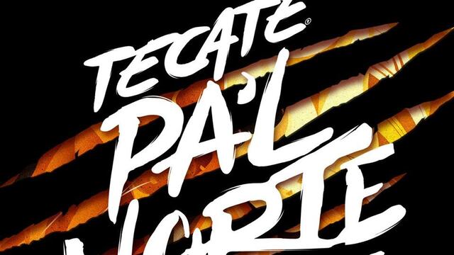 Se filtra lista de artistas invitados al festival de musica