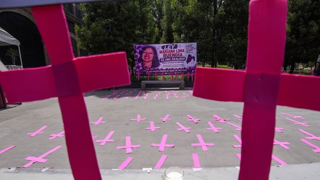 ONU destaca avances de México en la legislación para combatir el feminicidio