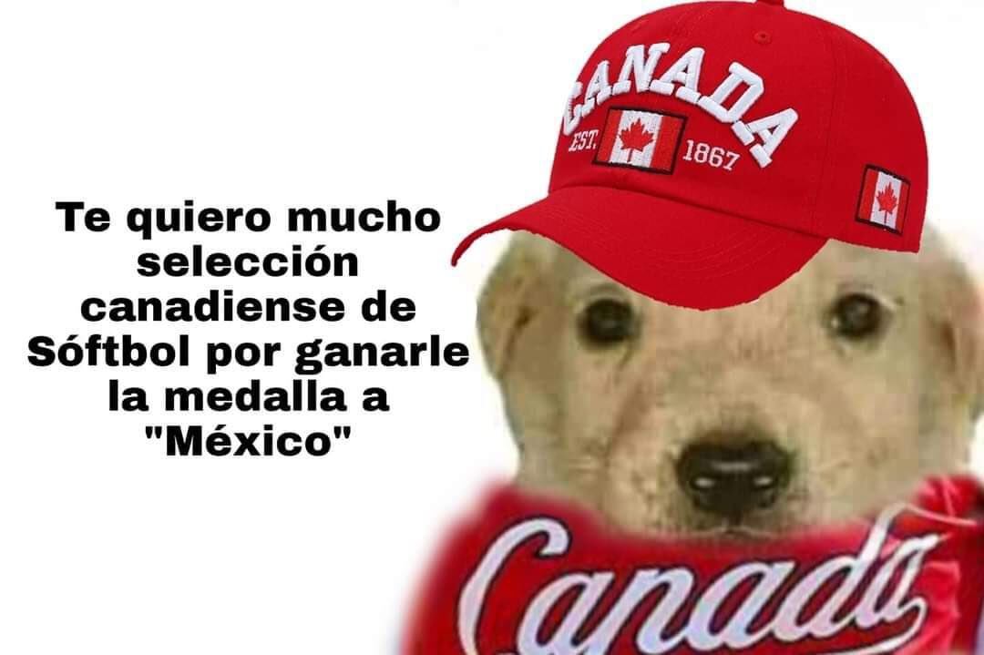 Meme perro 'te quiero mucho'