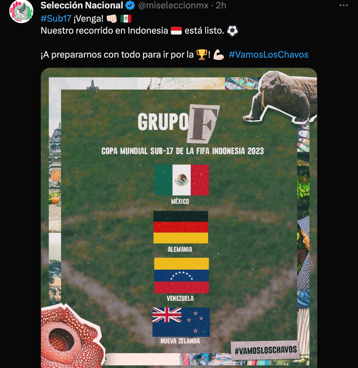 Selección Mexicana en Mundial Sub-17