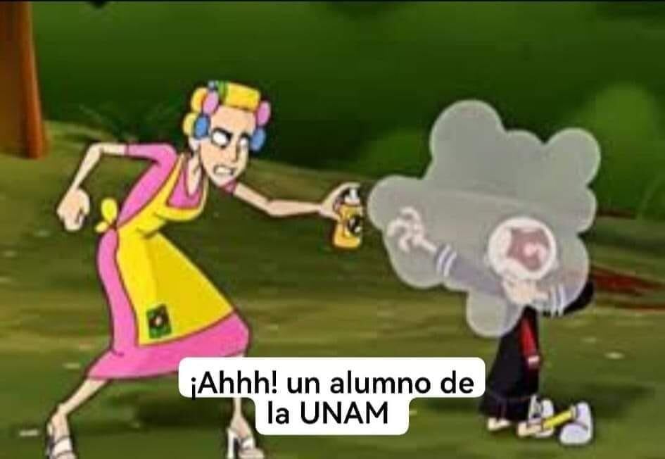 Se desata plaga de memes por chinches de la UNAM