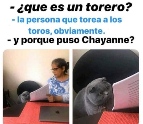 Meme de Chayanne
