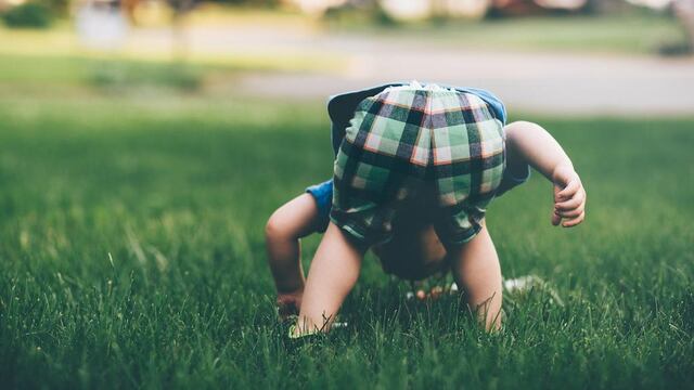 niño atropella a un pollito