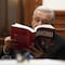 ¡Gracias!, nuevo libro de AMLO: Precio, fecha de venta y dónde se puede comprar