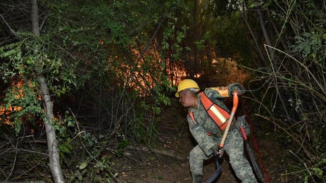 VIDEO: Soldados mexicanos ayudan a combatir incendios en Chile