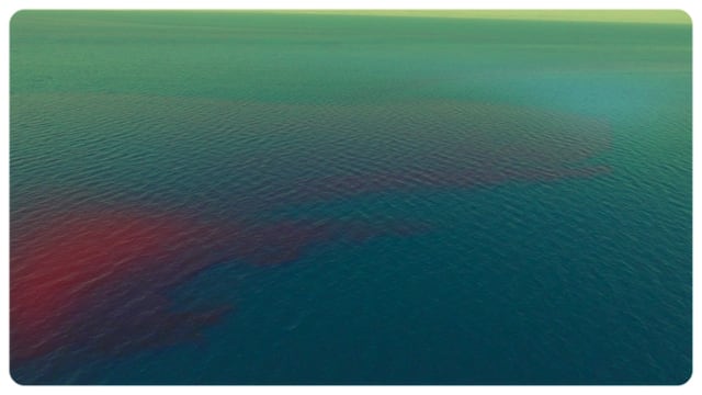 ¿Sabes qué es la marea roja? Un especialista te explica