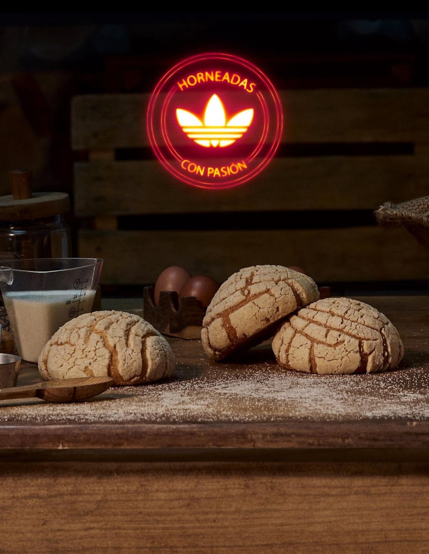 Adidas conchas de dulce