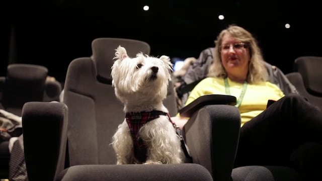 Perro en el cine