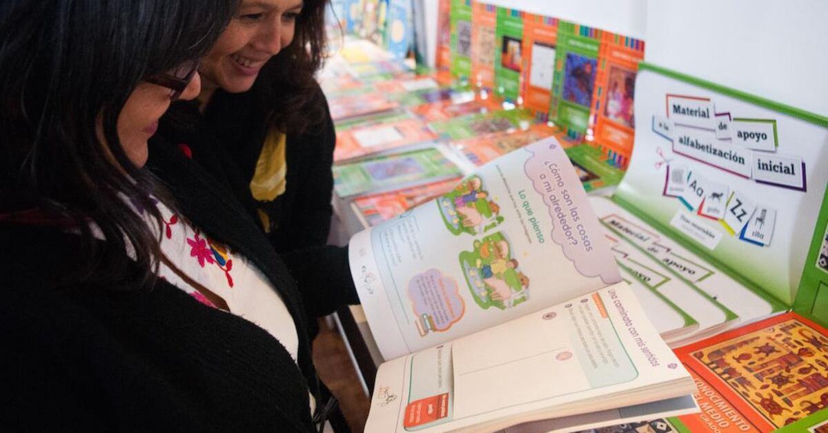 Nuevos libros de texto SEP: Acusan que se prioriza “pensamiento único ...
