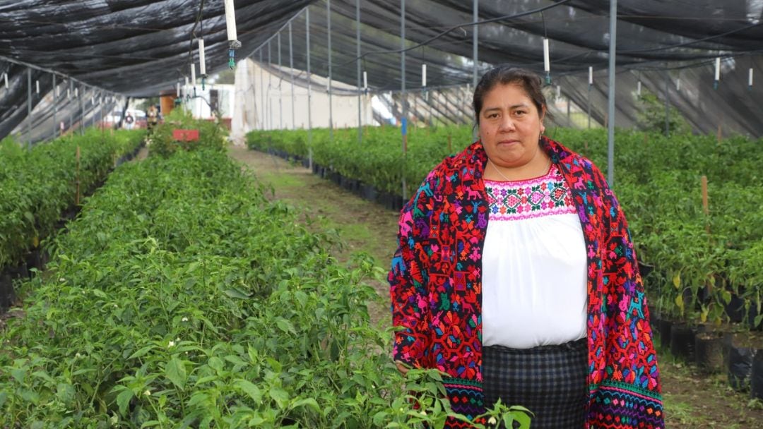 AMLO y Claudia Sheinbaum garantizan la continuidad de los programas sociales en Puebla