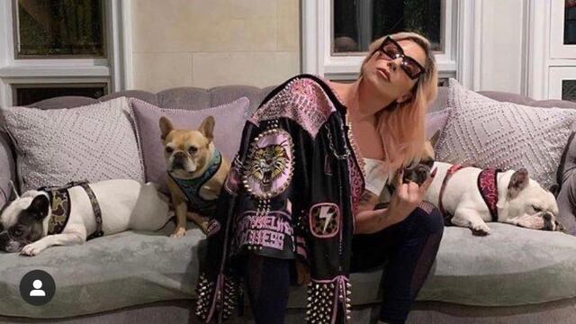 Roban dos perros de Lady Gaga