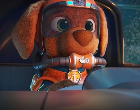 ¿Qué raza es Zuma de Paw Patrol?