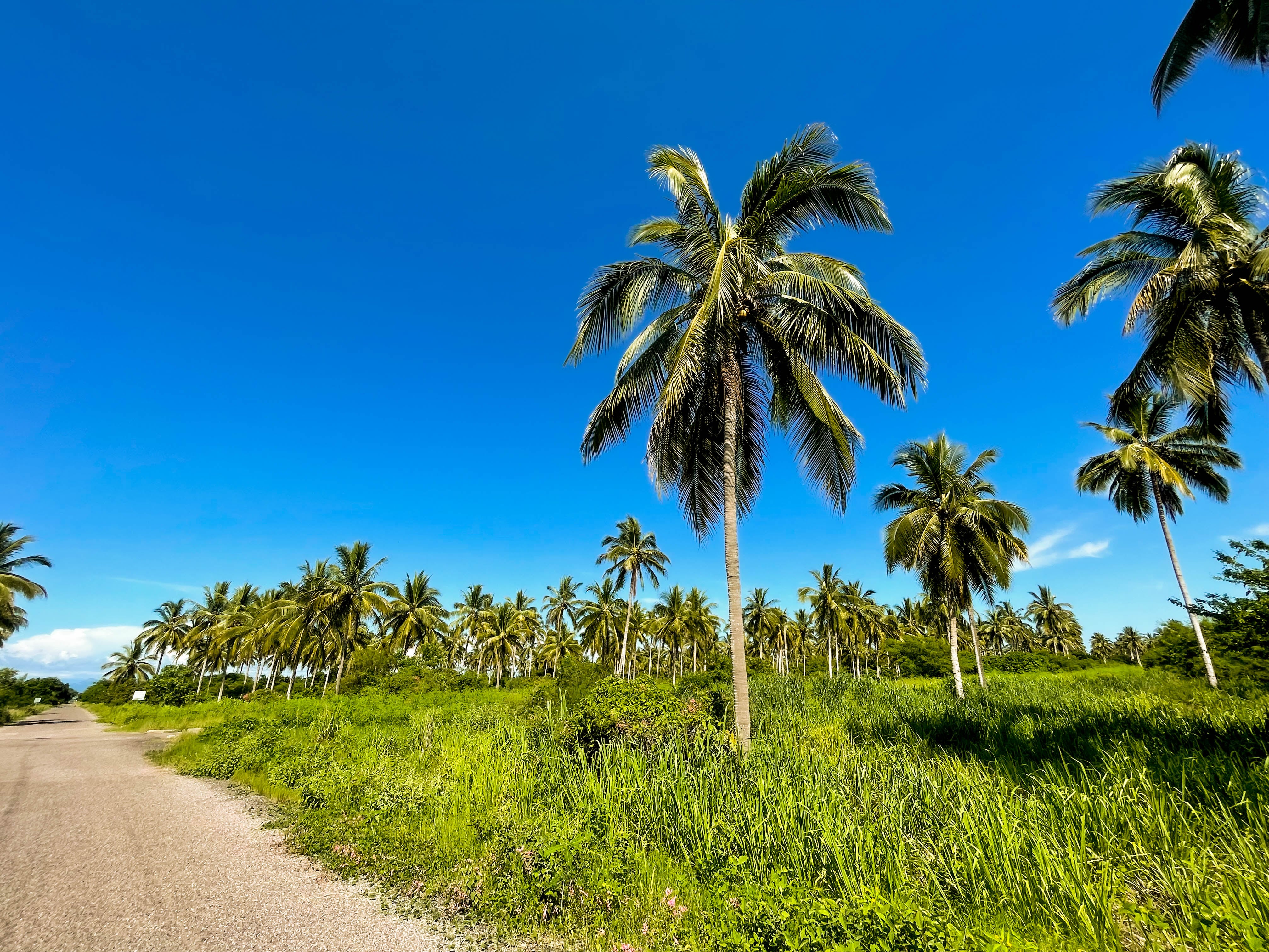 Lotería Nacional sorteará 200 lotes rústicos frente al mar