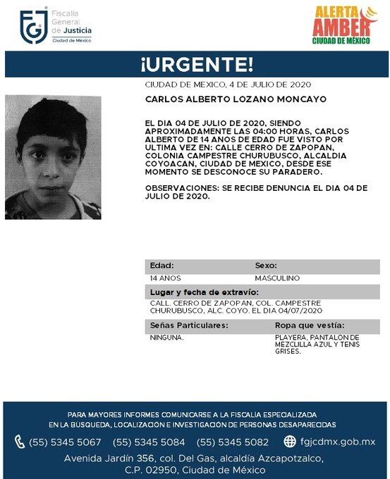 Ficha de búsqueda de Carlos.