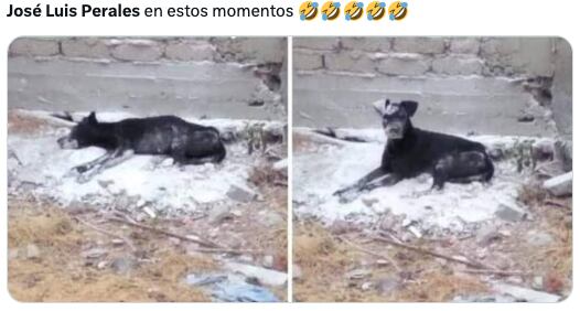 Memes de José Luis Perales lo reviven tras rumores de su muerte