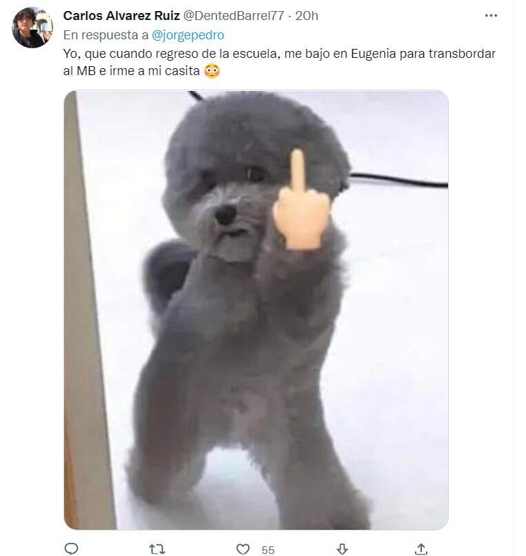 Memes