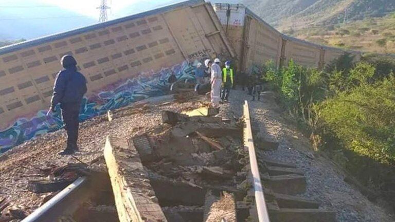 Descarrilan tren en Veracruz para robar autos