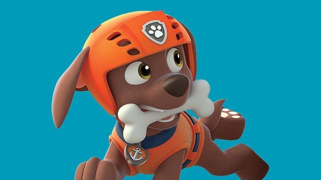¿Qué raza es Zuma de Paw Patrol?
